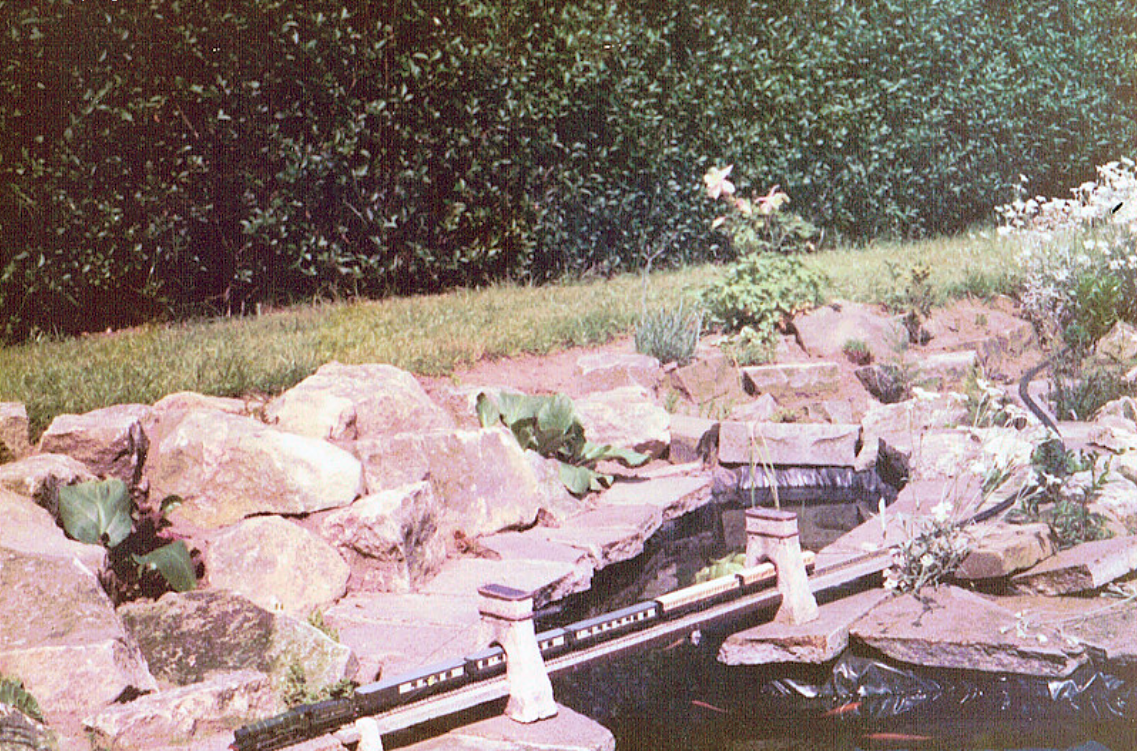 Worksop garden.png