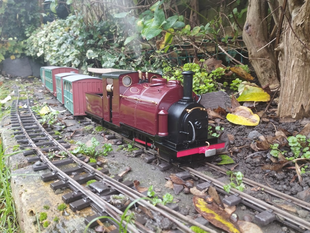 Autumn 22 A.jpg