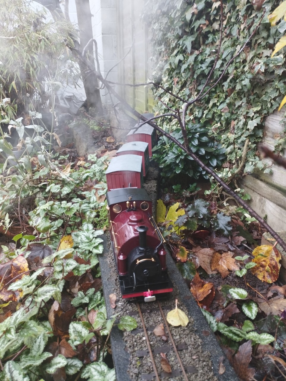 Autumn 22 B.jpg