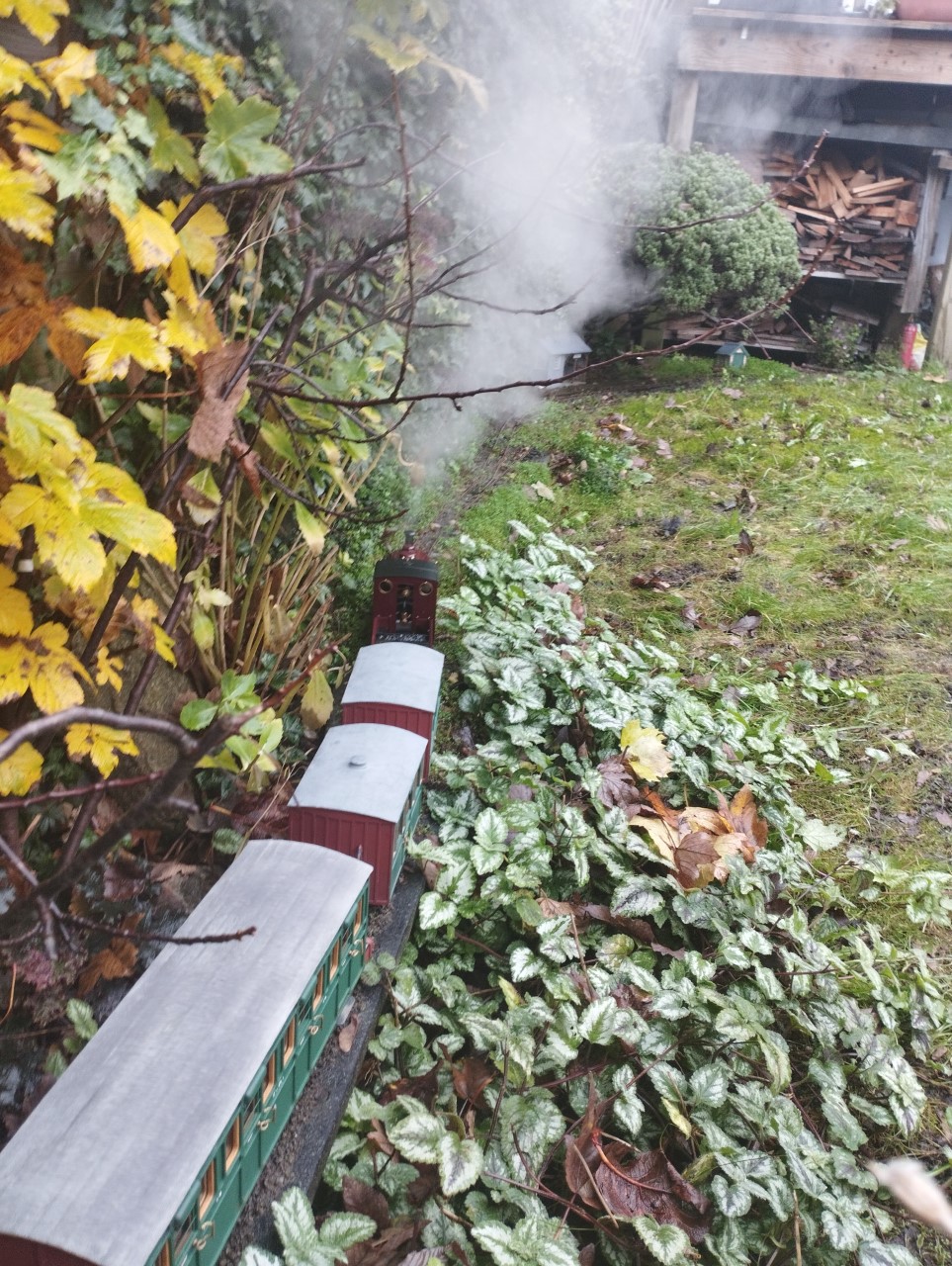 Autumn 22 C.jpg