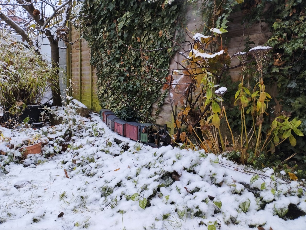 Snow train 4.jpg