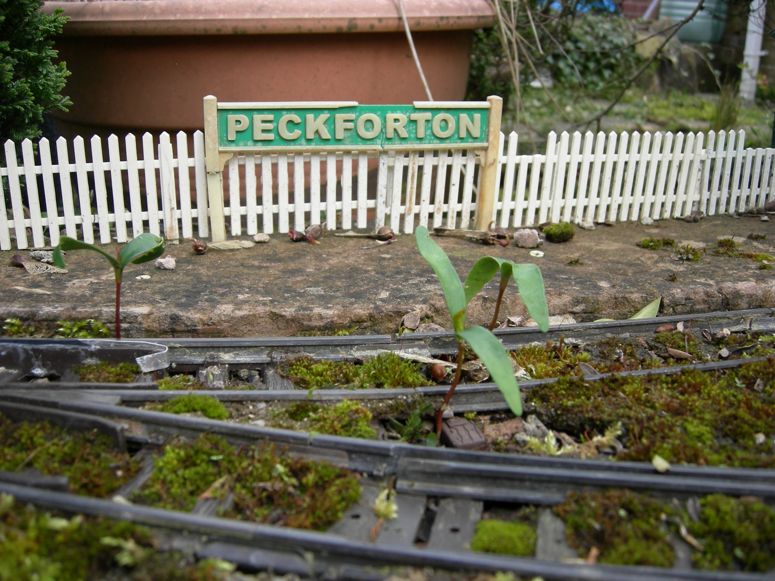 DSCN3364.JPG