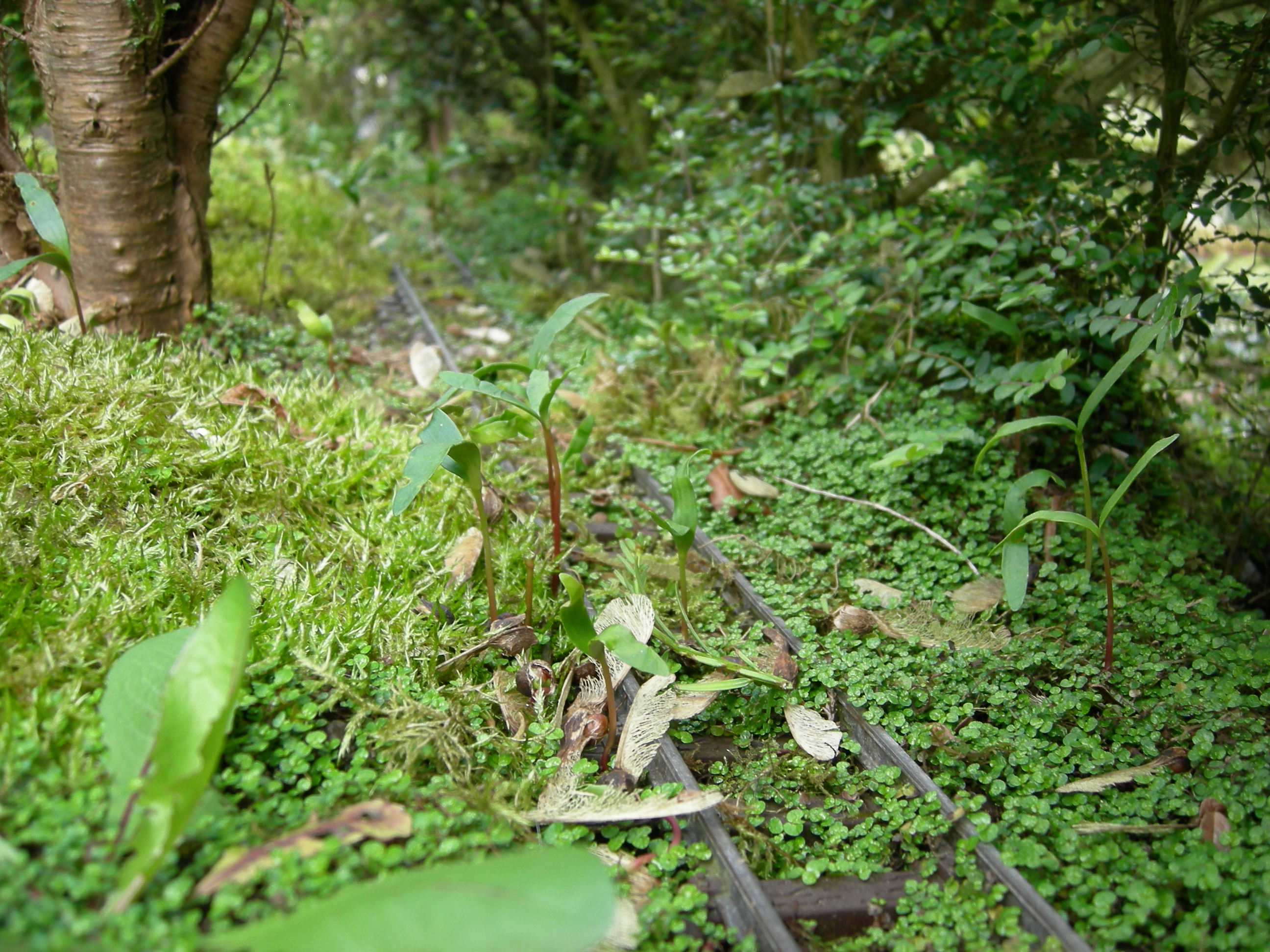 DSCN3366.JPG