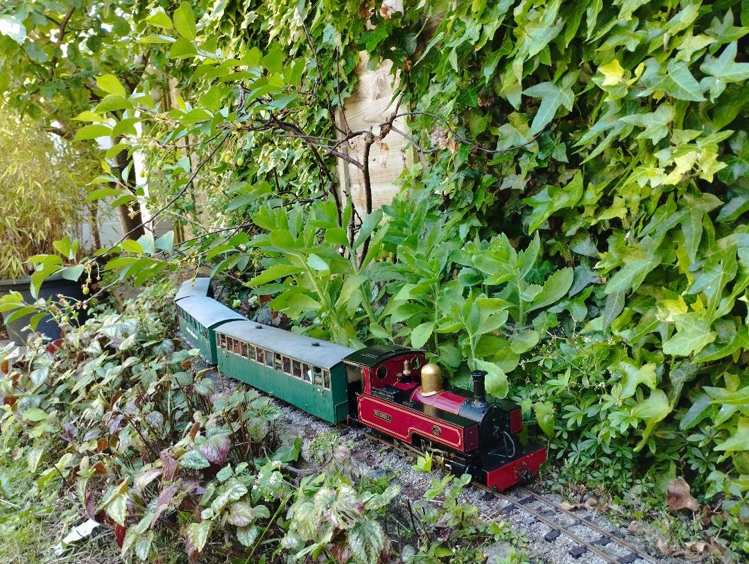 WHR 100 8.jpg