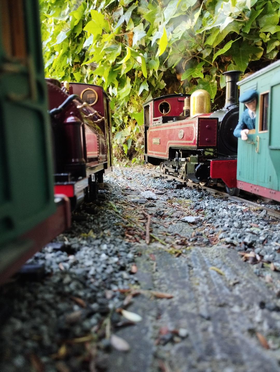 WHR 100 10.jpg