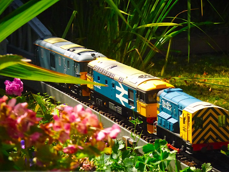 5_diesels_0291_800_A.jpg