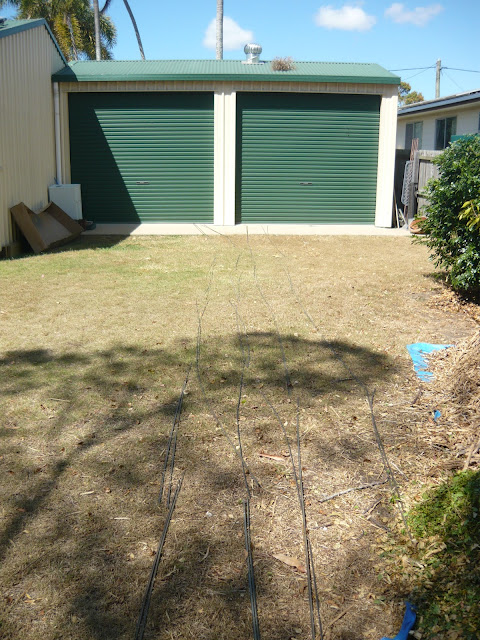 Shed.JPG