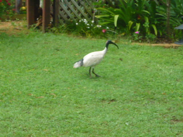 P1080301.JPG