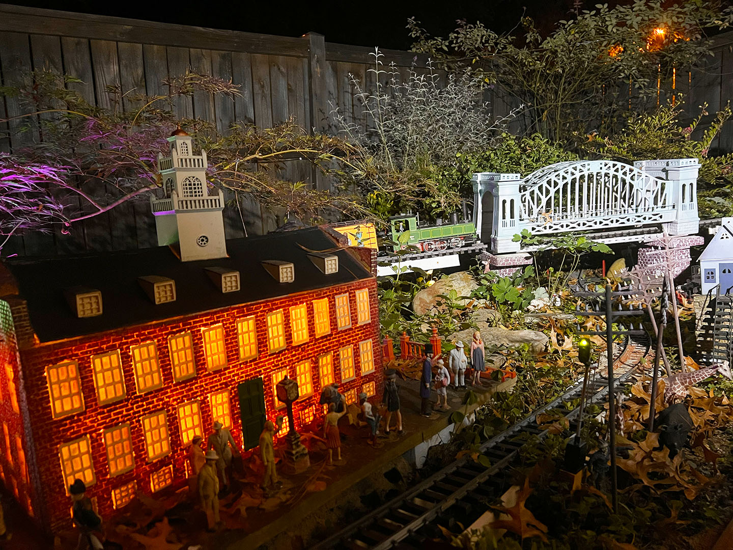 Garden train at night_2024.jpg