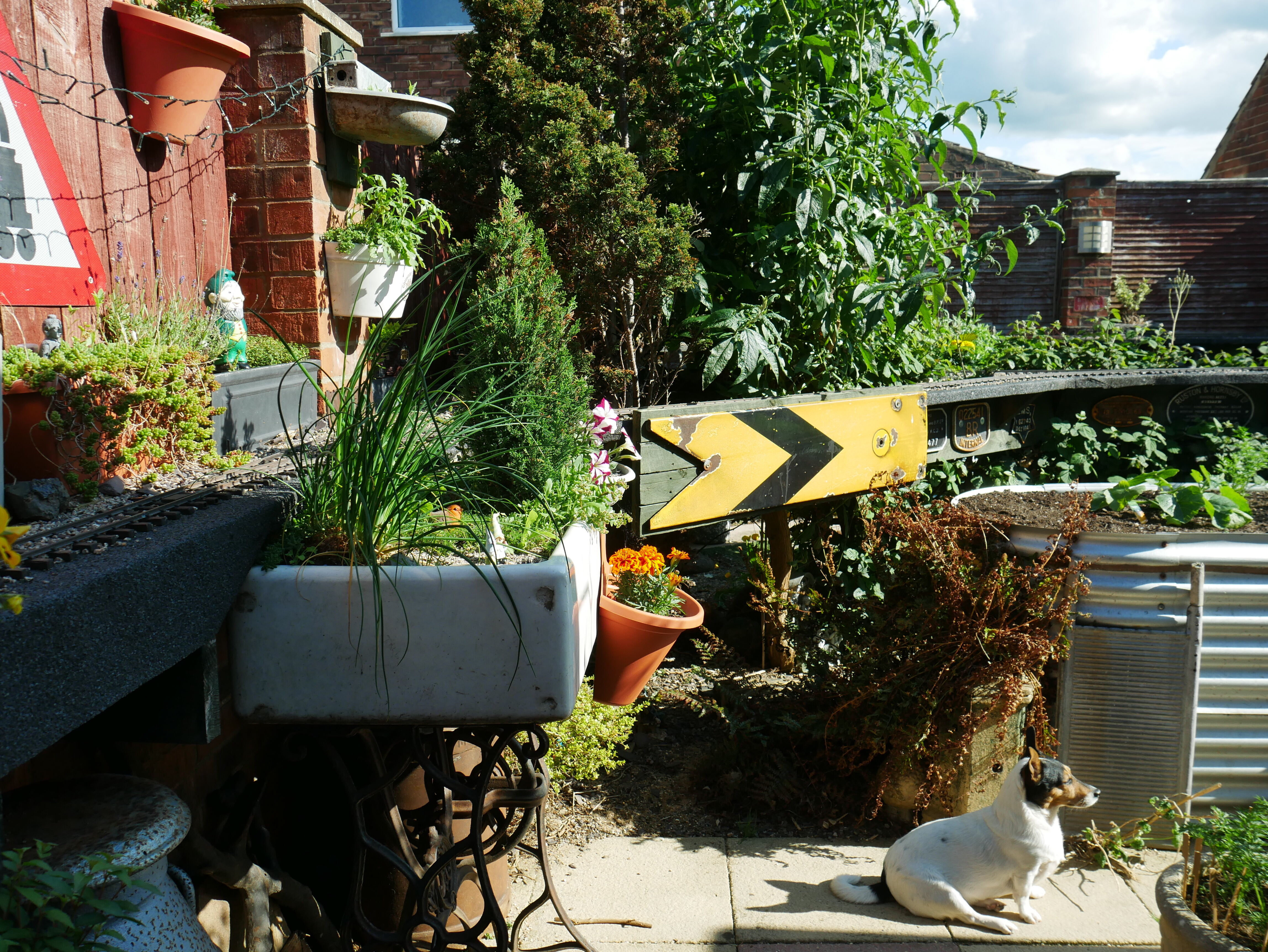 P1040363_optimized_5000.jpg
