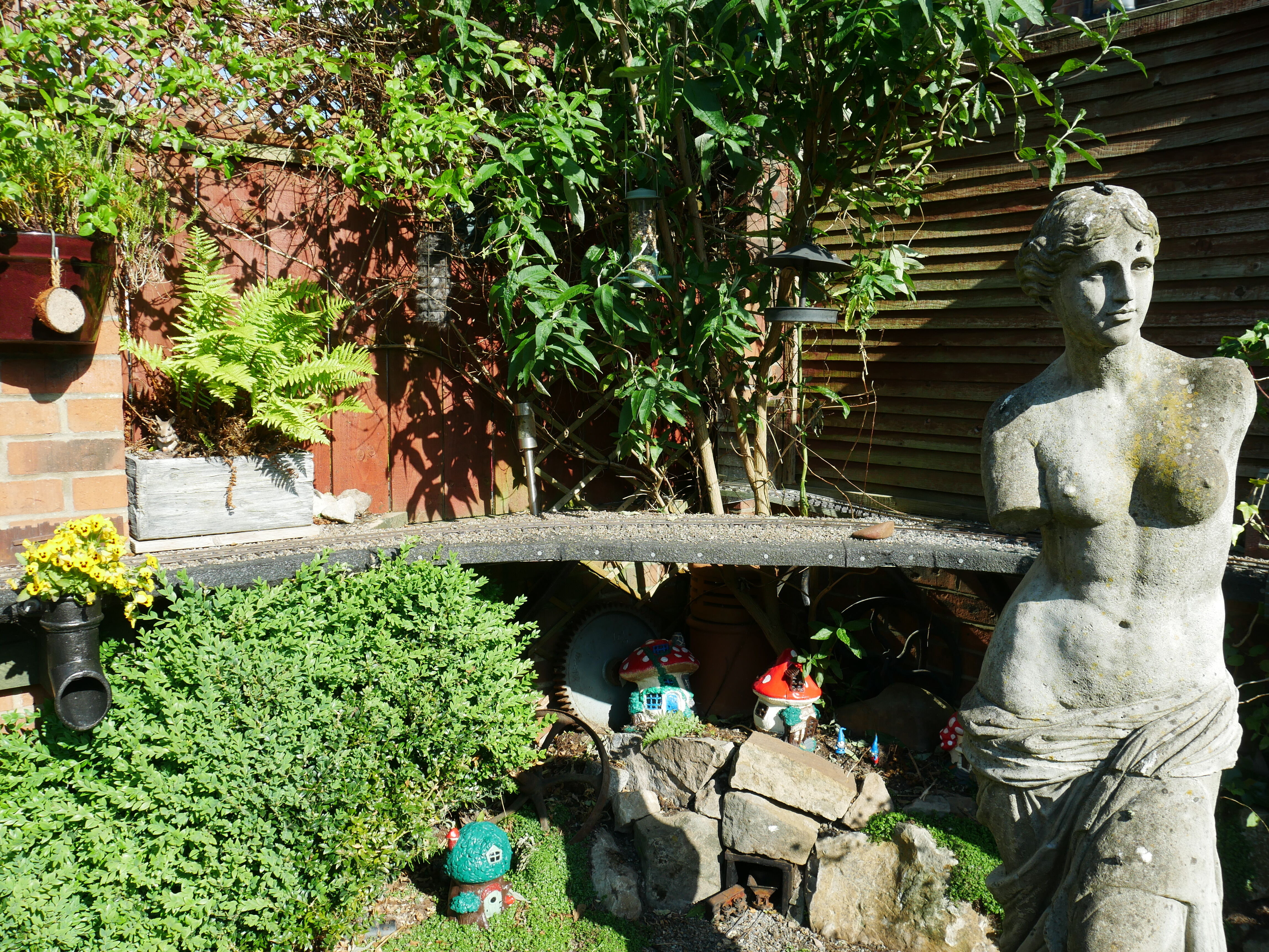 P1040374_optimized_5000.jpg