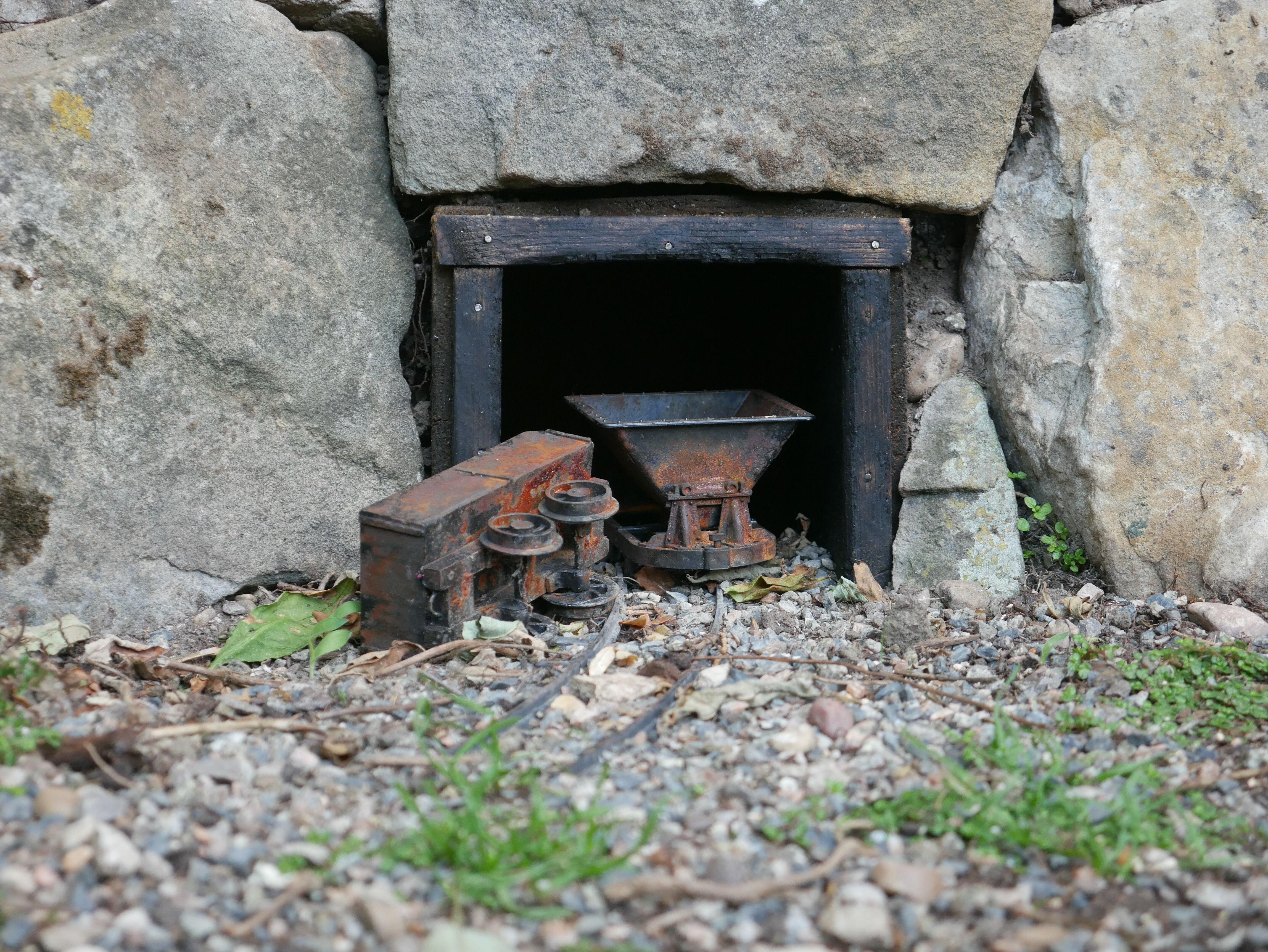 P1040379_optimized_5000.jpg