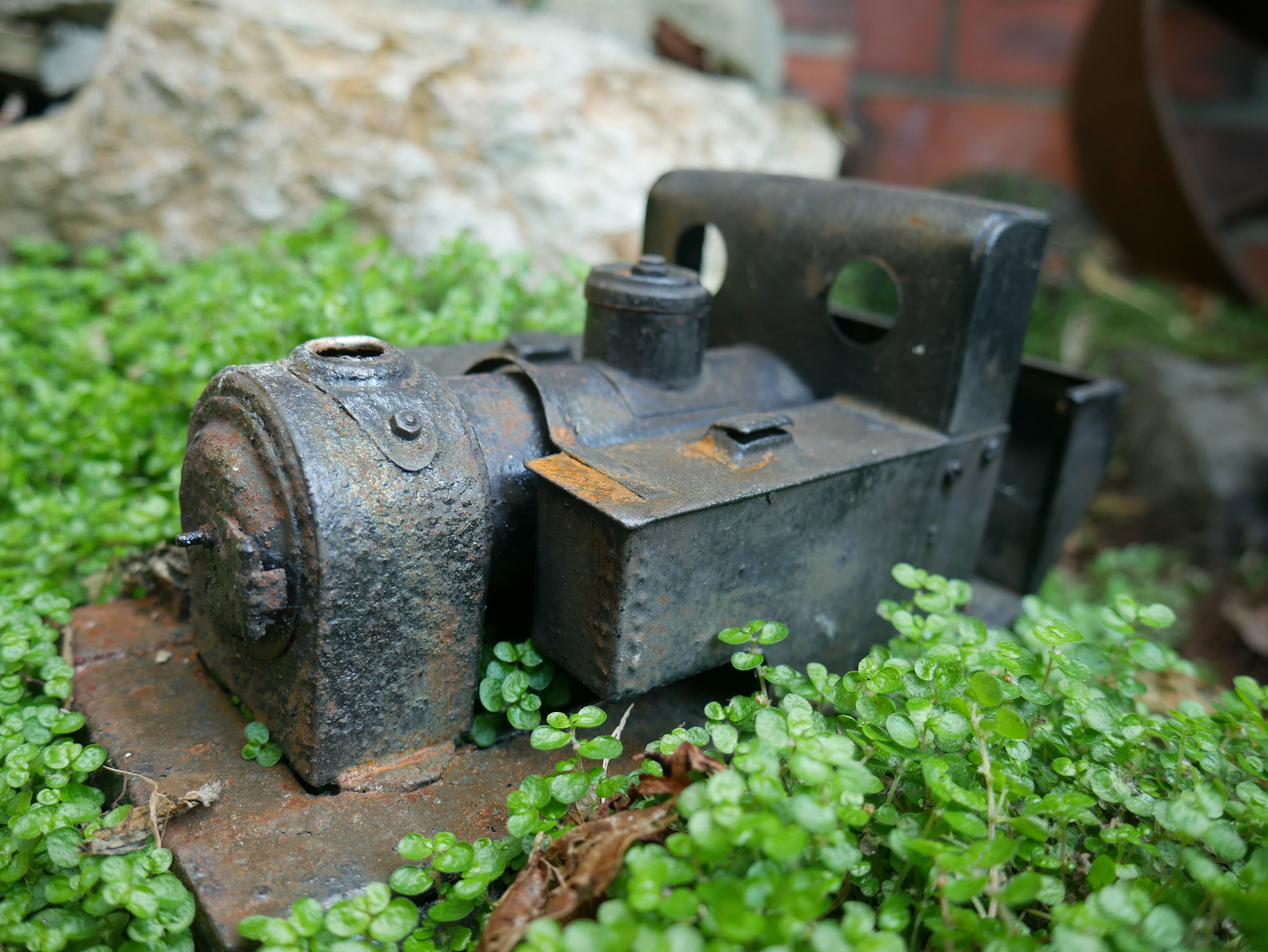 P1040382_optimized_5000.jpg