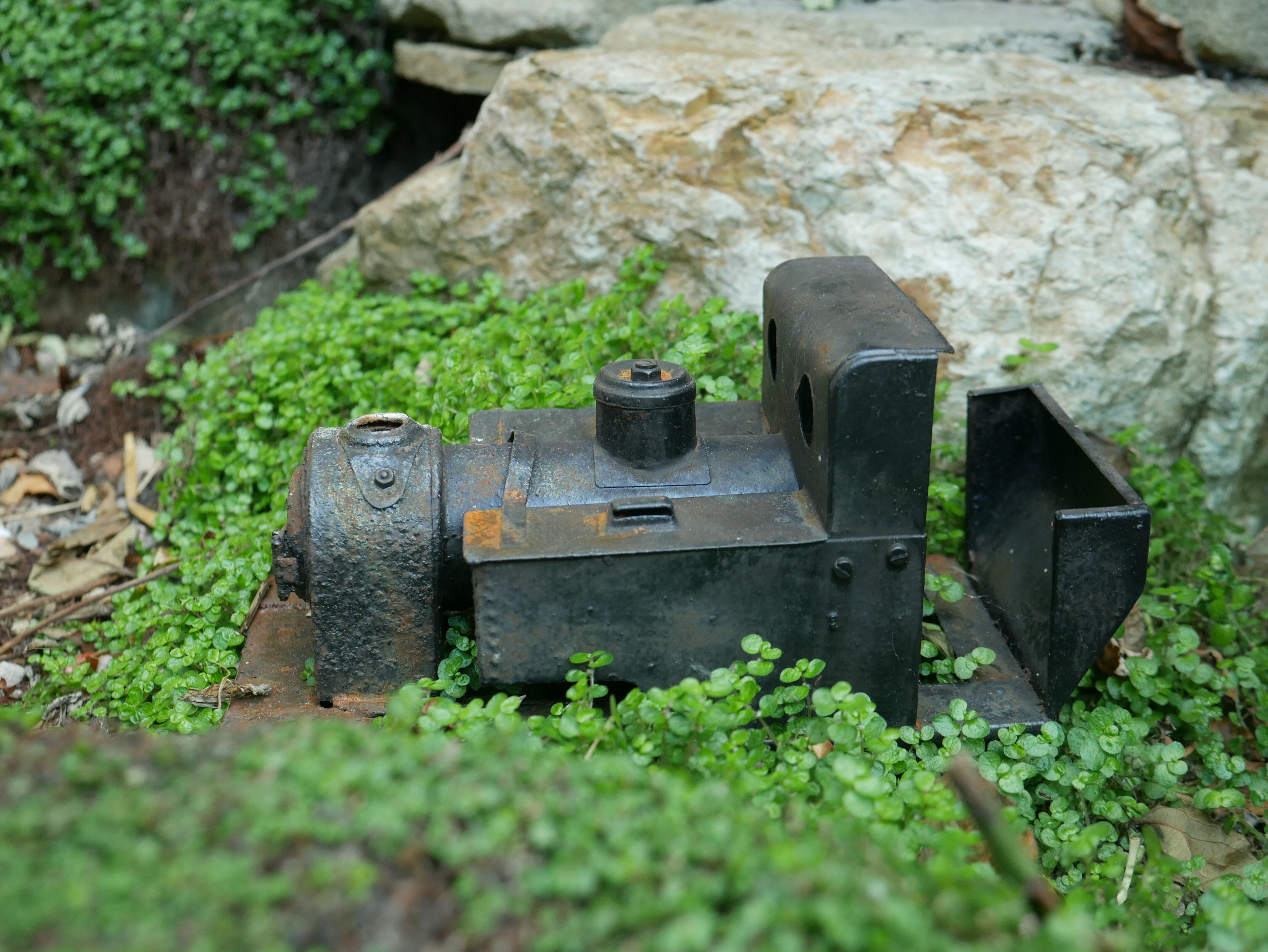 P1040383_optimized_5000.jpg
