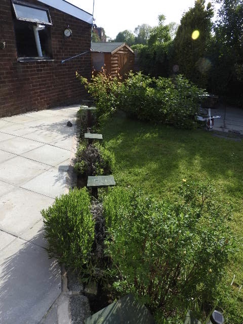 DSCN3438.jpg