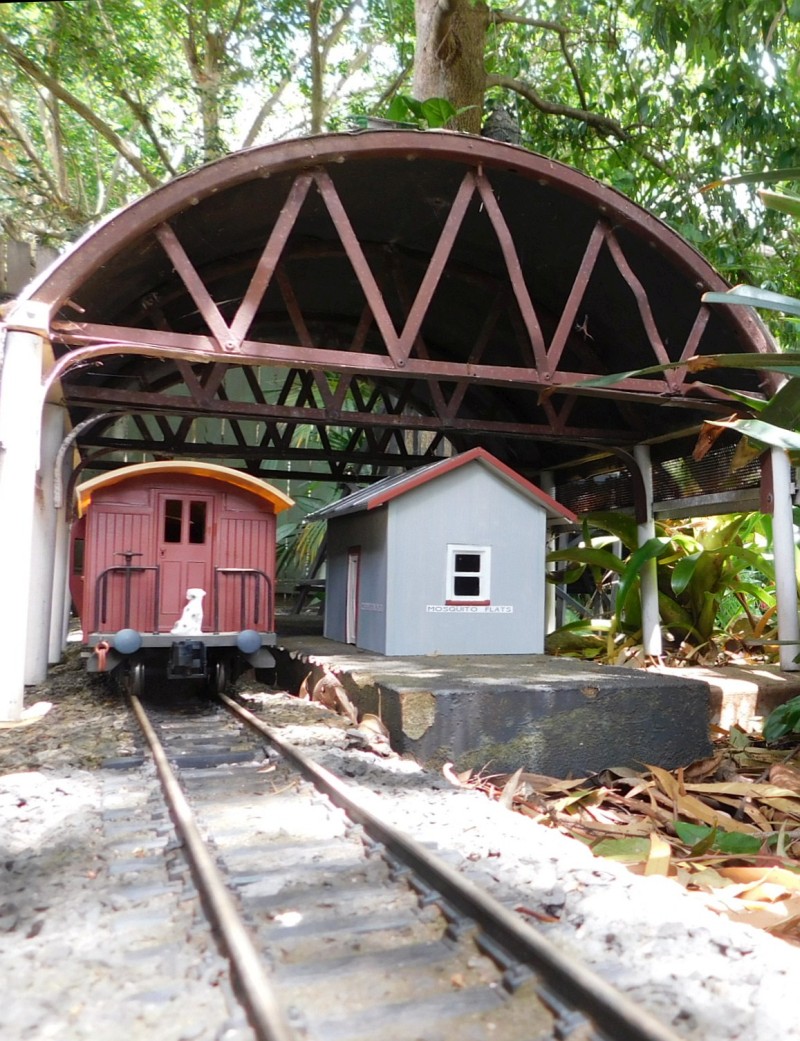 DSCN2254 s.jpg
