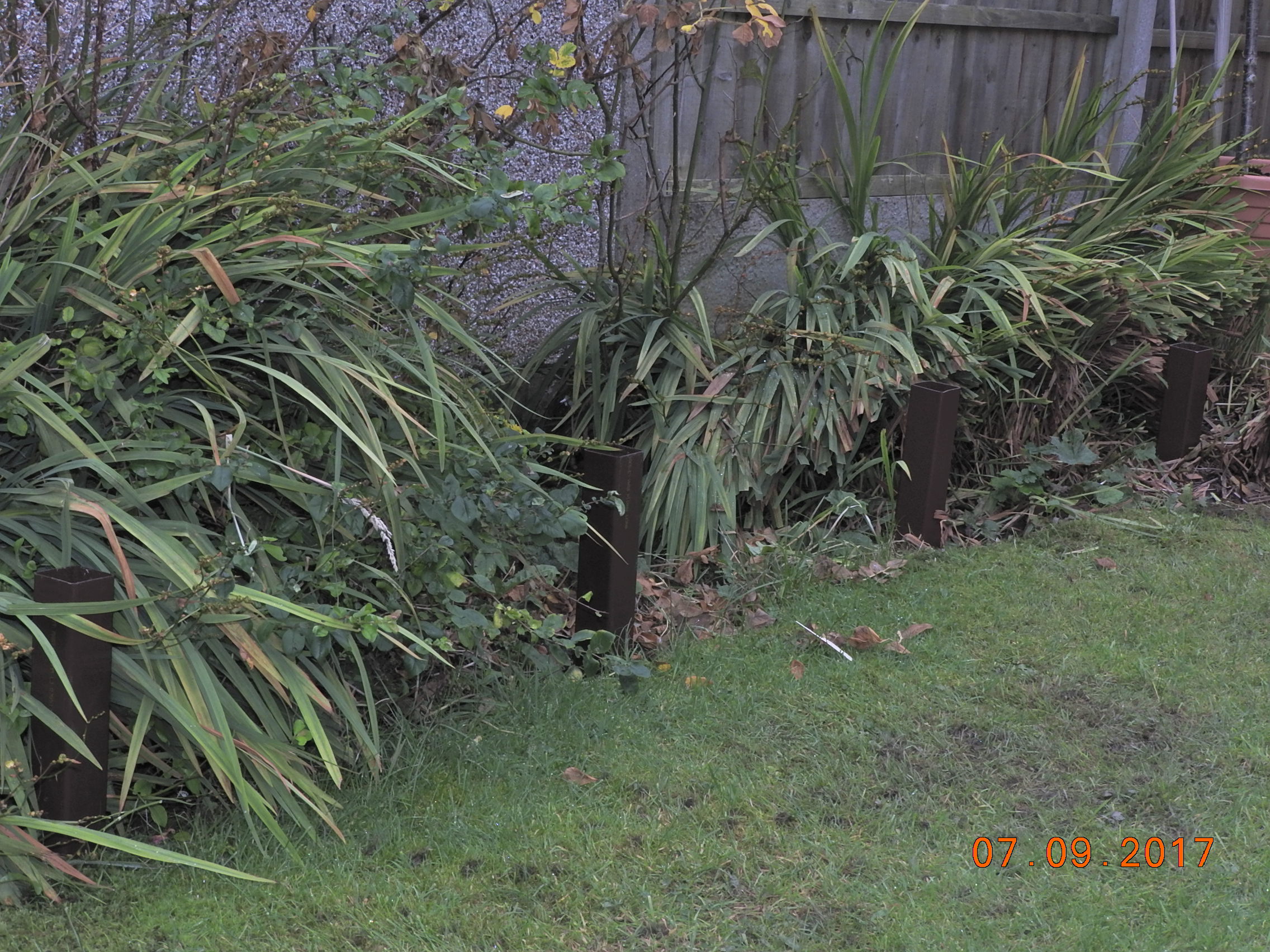 DSCN2972.JPG
