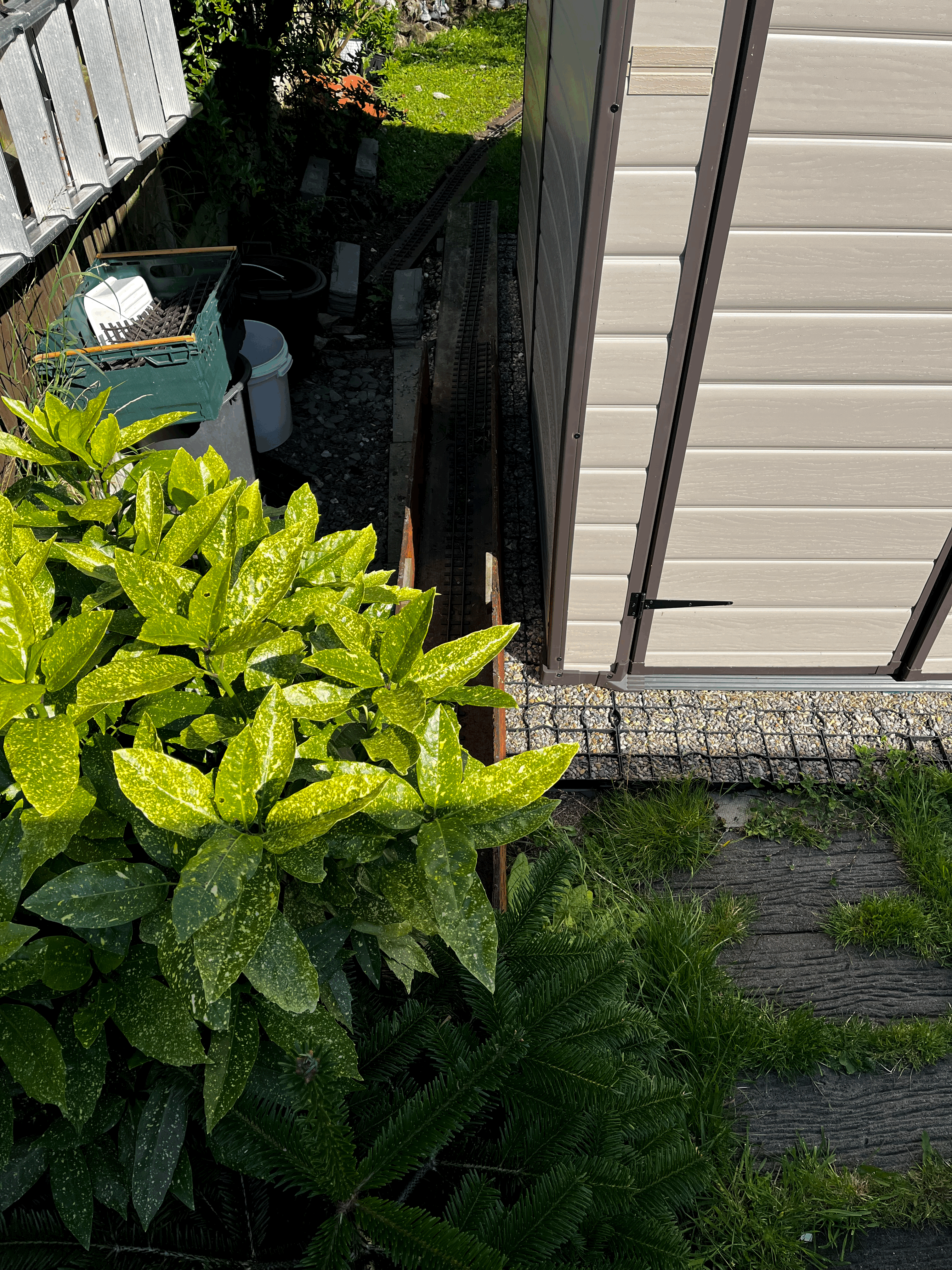 tempImageSiSkU1.gif