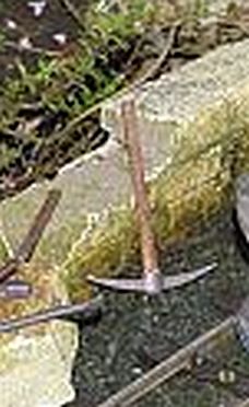 DSC_0004a.jpg