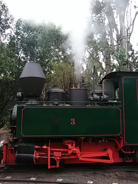 IMG_20230115_082820.jpg