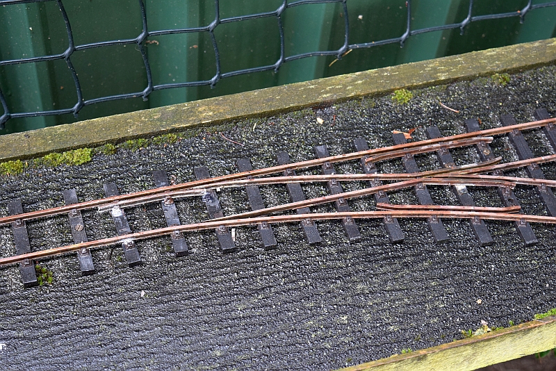 DSC_0036.JPG