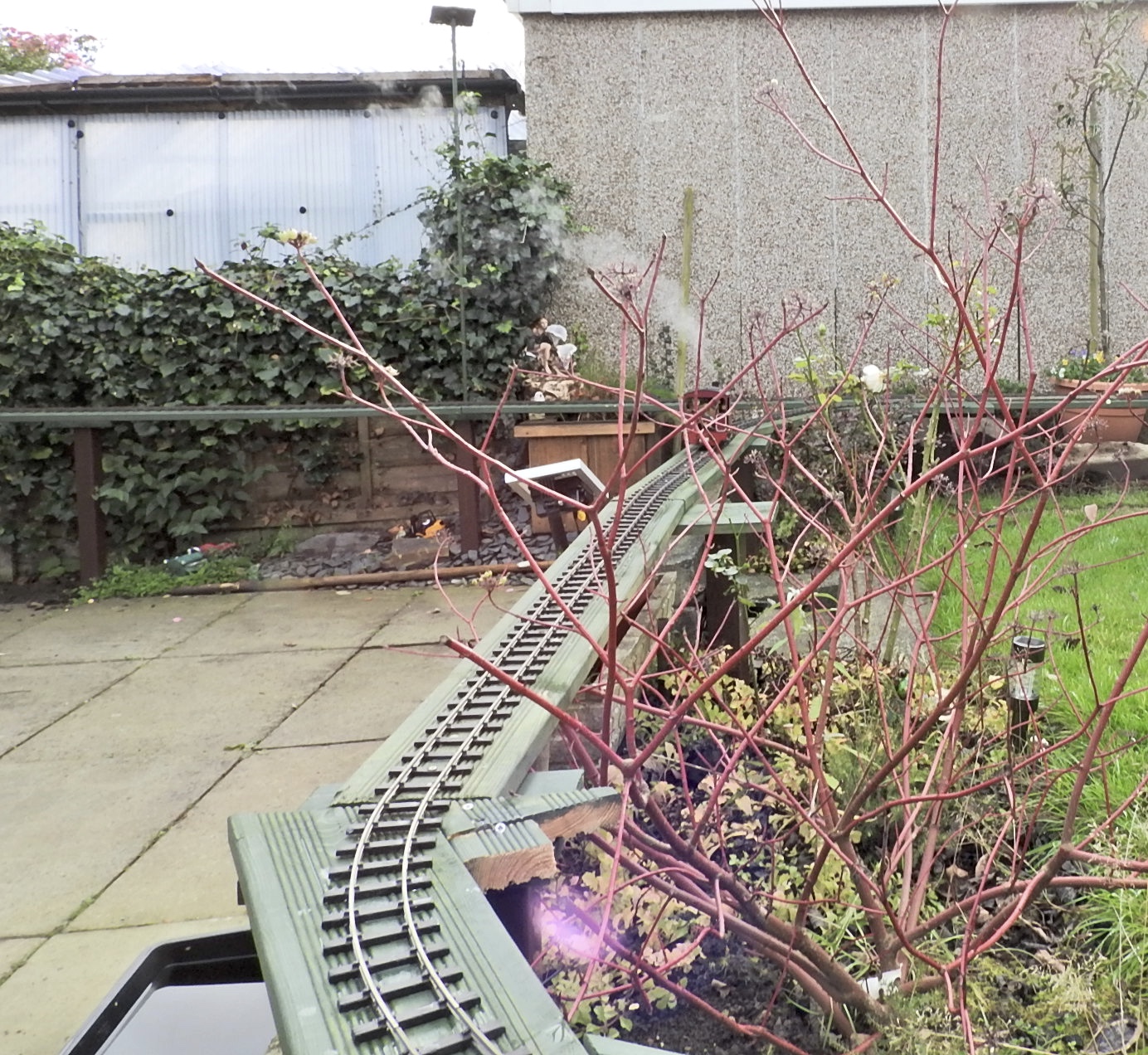 DSCN3095.jpg