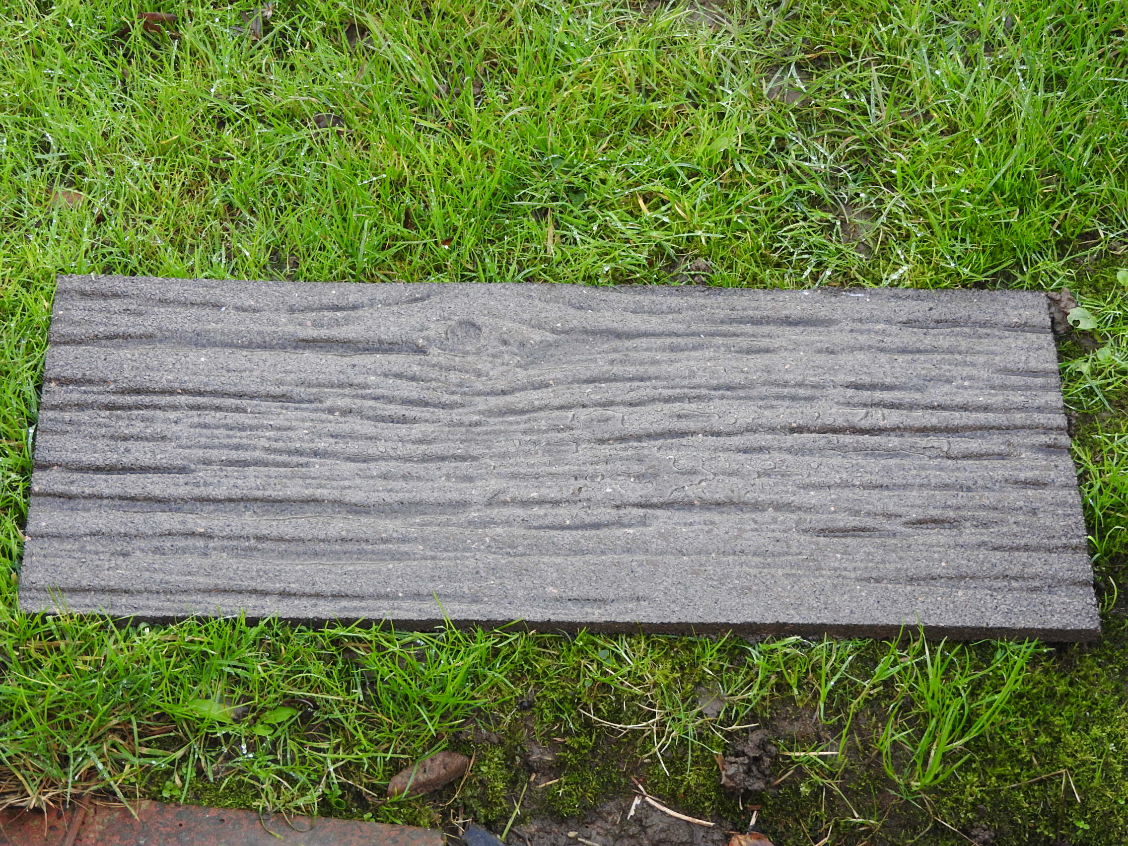 DSCN3113.JPG
