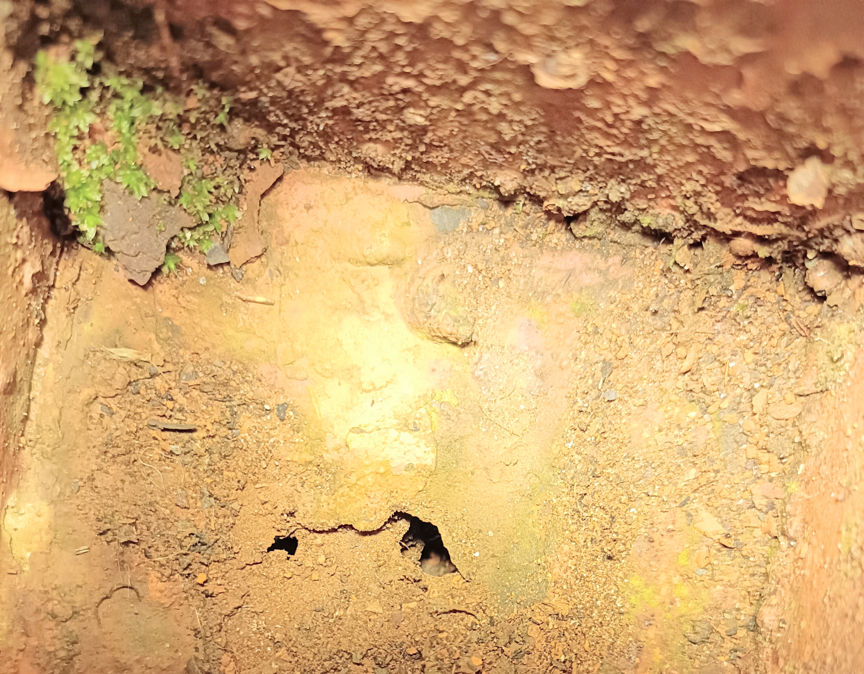 The whole hole