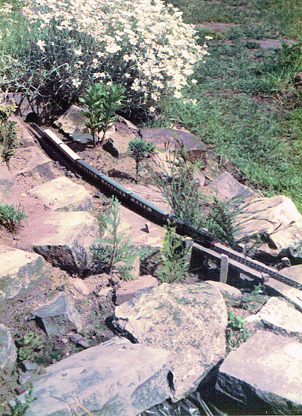 Ngarden2.jpg
