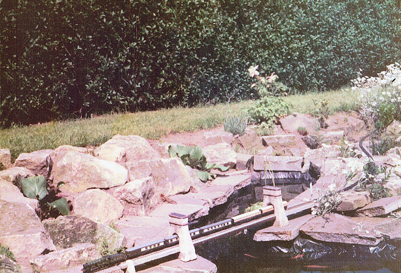 ngarden3.jpg