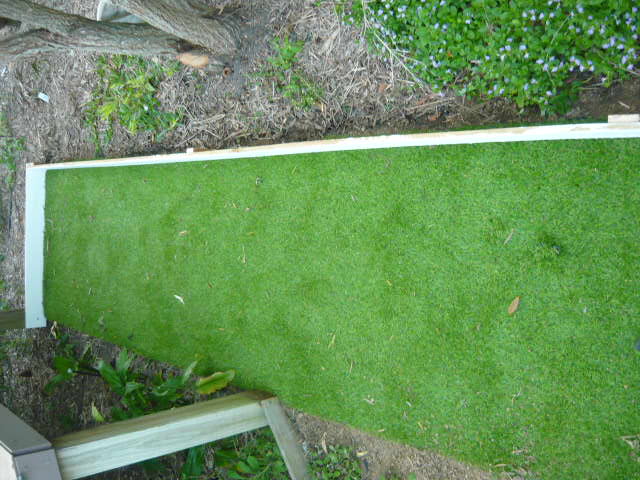 P1080610.JPG