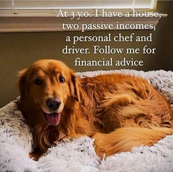 canine achievement.jpg