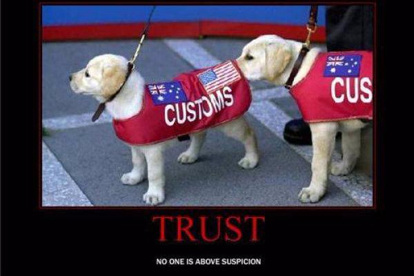 Trust.jpg