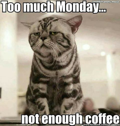 Monday coffee.jpg