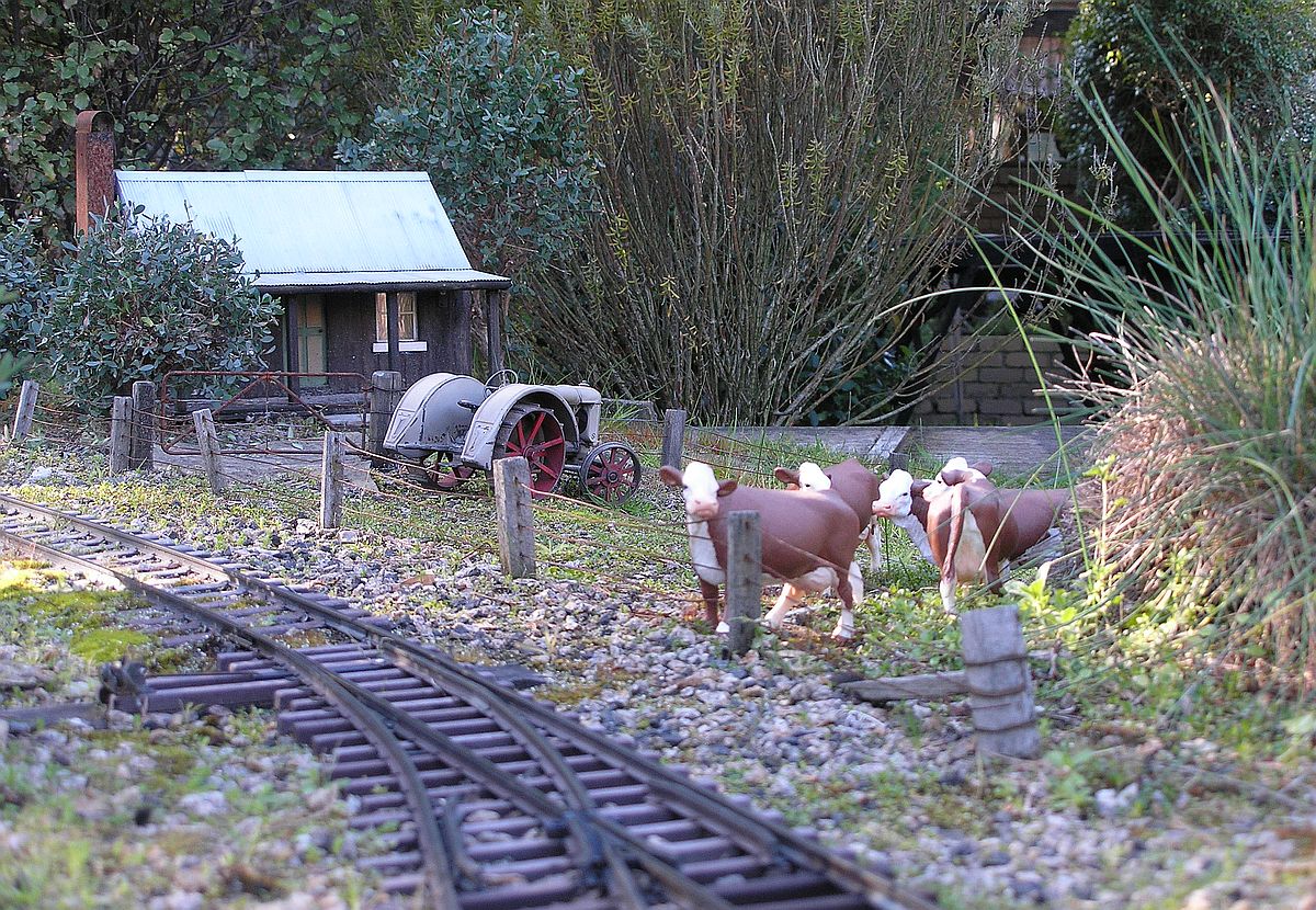Farm Shot 2.JPG