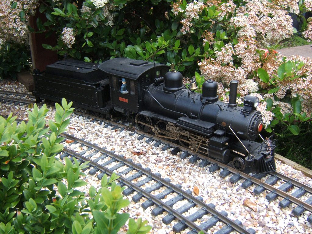 6 - Yank relaxing..JPG