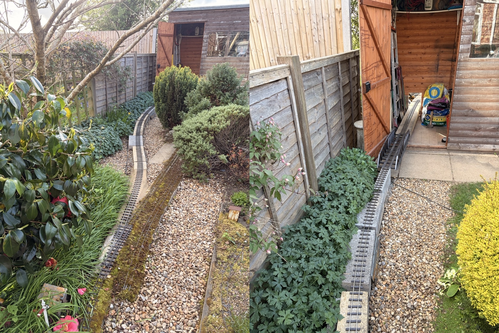 to the shed.jpg