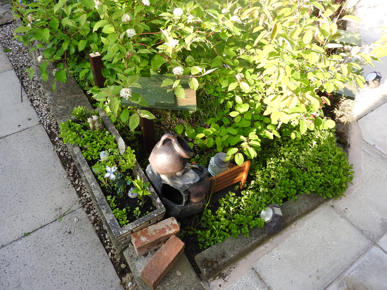 DSCN3430.JPG