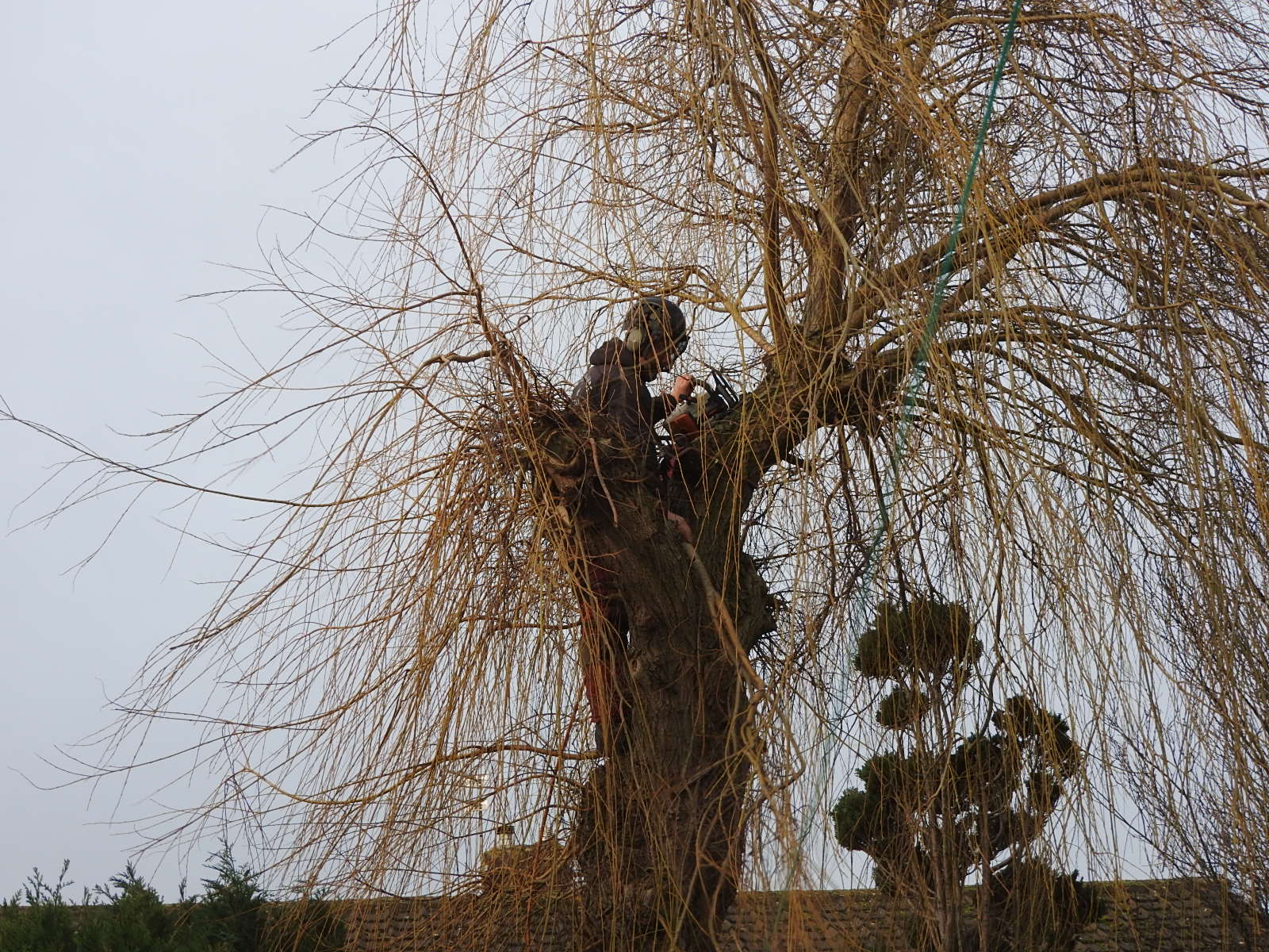 DSCN3832.JPG