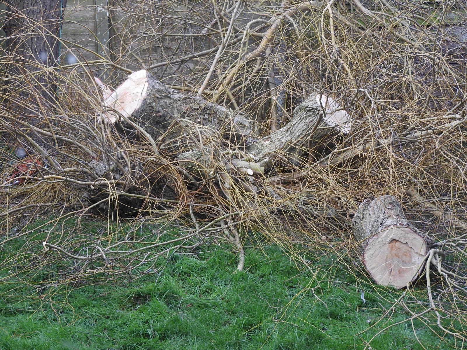 DSCN3840.JPG