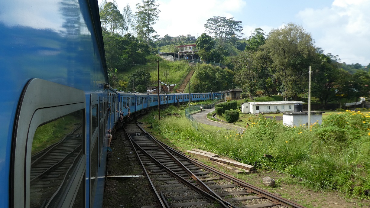 P1010593.JPG