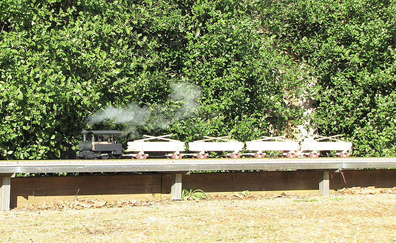 Tenth Steam Run 5.jpg