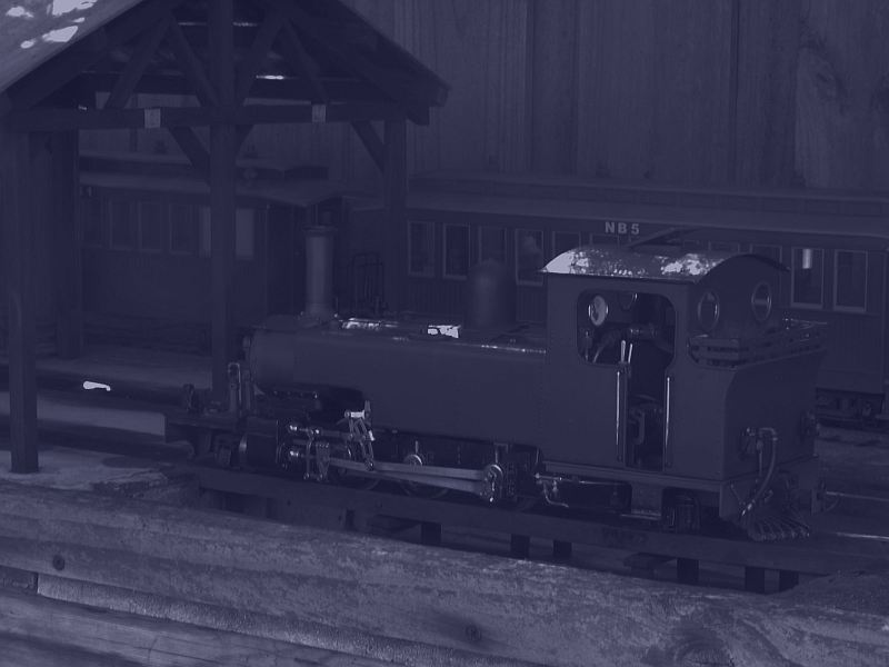 PA300003 - Dawn 2.JPG