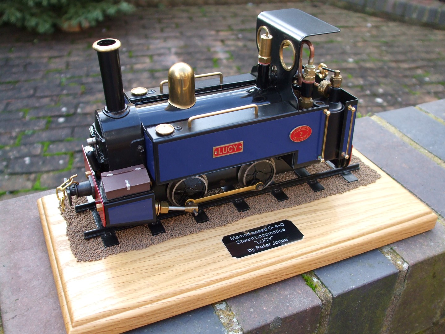 LUCY_Jan2014 001 (Large).jpg