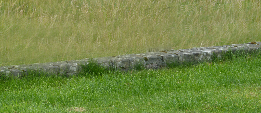 BoggCauseway1.jpg