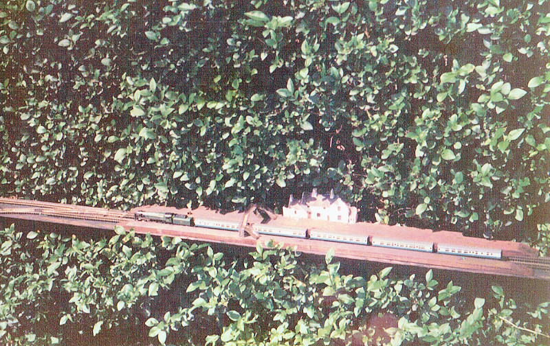 Ngarden1.jpg