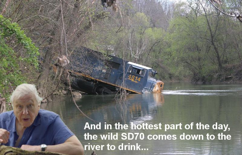 thirsty loco.jpg