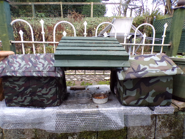 100_1609.JPG