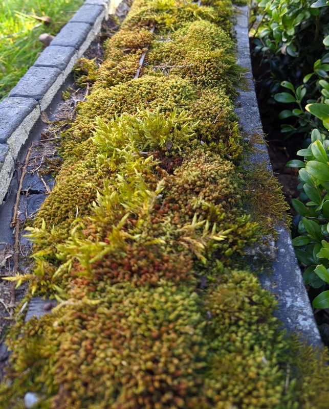 Not Recently.jpeg