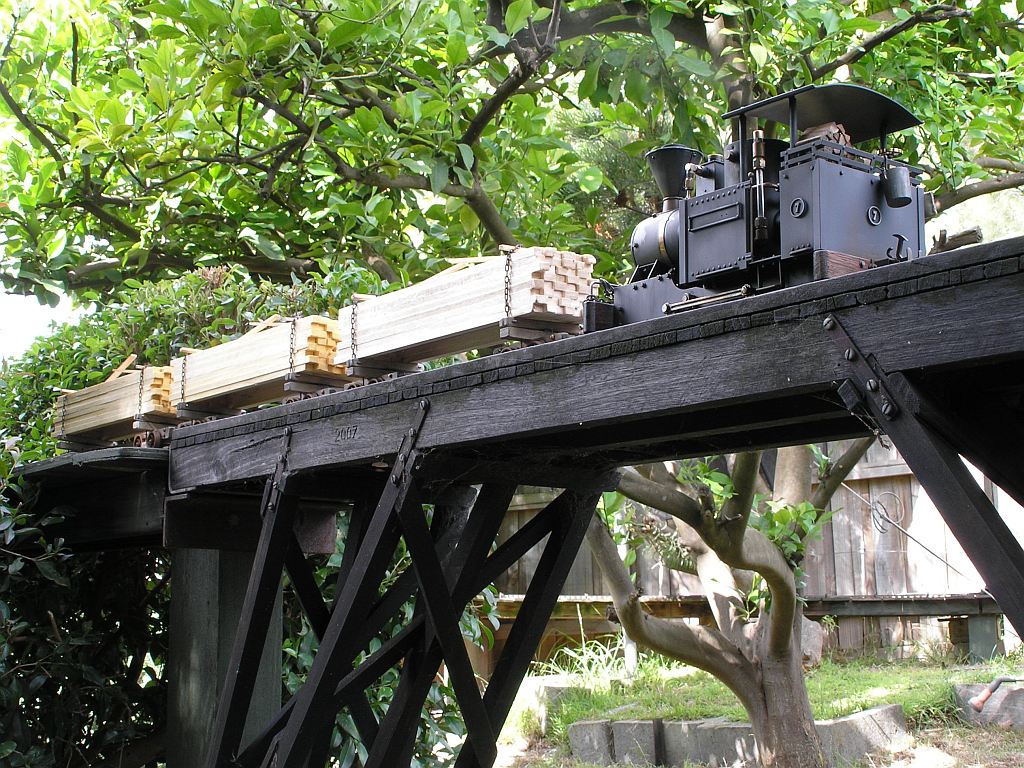 Tramway opening 8.JPG